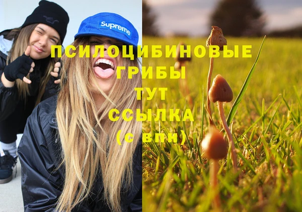 каннабис Коряжма