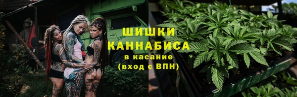 прущая мука Корсаков