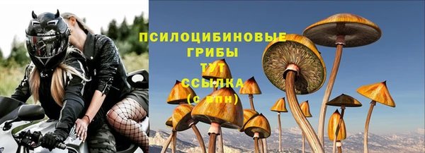 прущая мука Корсаков